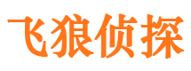 霞山市私家侦探